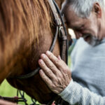 Horses are great therapy animals because they are naturally empathetic and thrive from relationships.