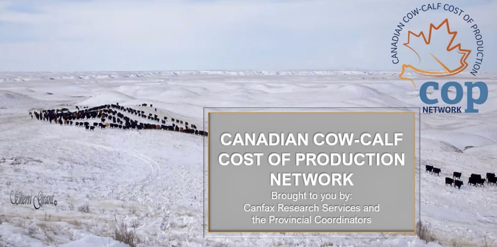 The COP Network offers cow-calf producers a chance to see what farmers using a system like theirs are spending on their operations, as well as the results and revenue they’re achieving. The goal is to offer producers insights on how to boost the bottom line.