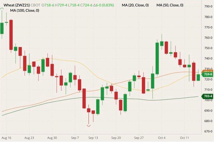 CBOT December 2021 wheat (candlesticks) with 20-, 50- and 100-day moving averages (yellow, orange and dark green lines). (Barchart)
