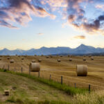 The increase in farmland prices in the first half of the year was normal, but price rises may slow because of the drought.