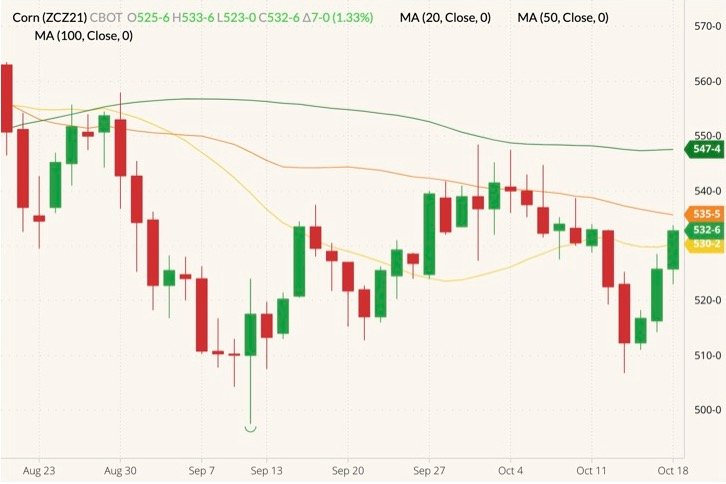 CBOT December 2021 corn (candlesticks) with 20-, 50- and 100-day moving averages (yellow, orange and dark green lines). (Barchart)
