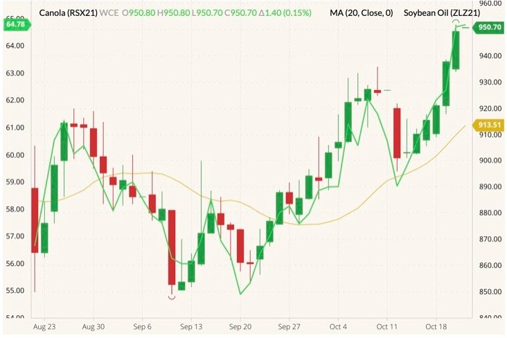 ICE November 2021 canola (candlesticks) with 20-day moving average (yellow line) and CBOT December 2021 soyoil (green line, left column). (Barchart)

