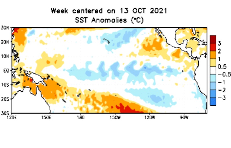 Sea surface temperature anomalies over the Pacific Ocean in degrees Celsius for the week centred on Oct. 13, 2021. (CPC.ncep.noaa.gov)
