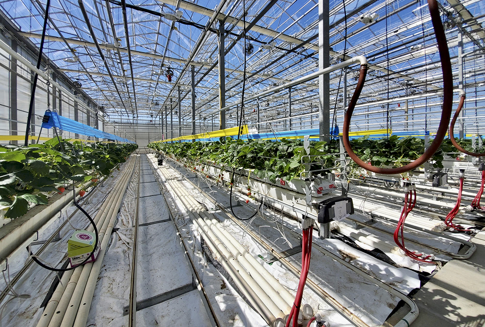 “We believe that for Alberta, agriculture is the future and in a lot of ways will be an economic growth driver.” – Ray Price.