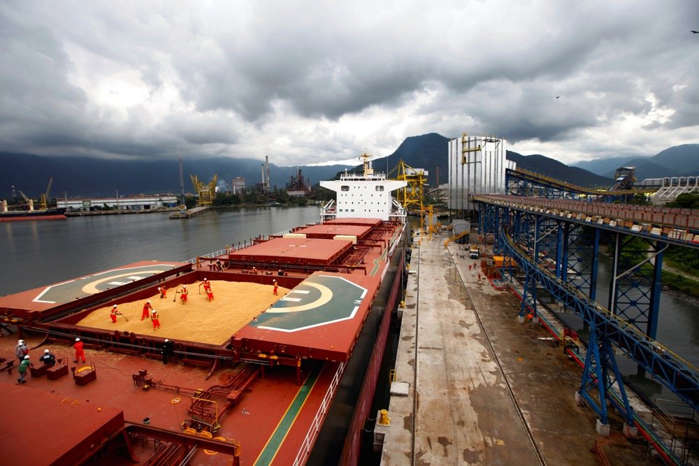 China imports around 100 million tonnes of soybeans each year to make feed for its enormous livestock sector.  Photo: Reuters/Paul Whitaker
