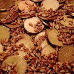 Photo: Thinkstock