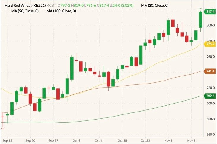 Kansas City (K.C.) December 2021 wheat (candlesticks) with 20-, 50- and 100-day moving averages (yellow, brown and dark green lines). (Barchart)
