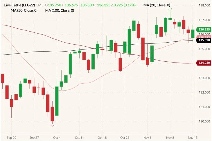 CME February 2022 live cattle (candlesticks) with 20-, 50- and 100-day moving averages (pink, dark red and black lines). (Barchart)
