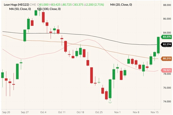 CME February 2022 lean hogs (candlesticks) with 20-, 50- and 100-day moving averages (pink, brown and black lines). (Barchart)
