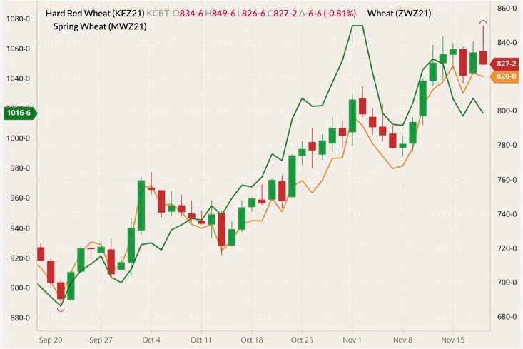 Kansas City December 2021 wheat (candlesticks) with CBOT December 2021 wheat (orange line) and MGEX December 2021 wheat (green line, left column). (Barchart)
