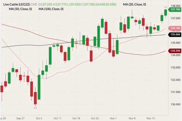 CME February 2022 live cattle (candlesticks) with 20-, 50- and 100-day moving averages (pink, dark red and black lines). (Barchart)
