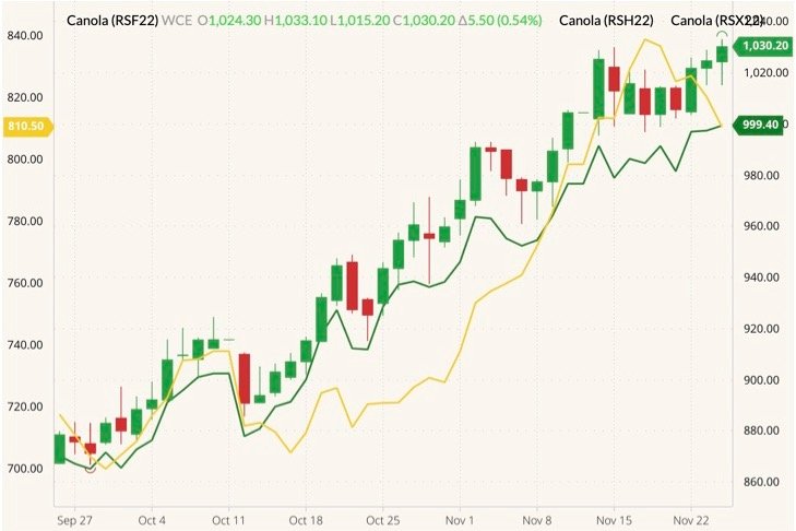 ICE January 2022 canola (candlesticks) with March 2022 (green line) and November 2022 canola (yellow line, left column). (Barchart)
