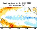 Pacific sea surface temperature anomalies in degrees Celsius for the week centred on Nov. 24, 2021. Cooler-than-neutral sea surface temperatures at the equator are known to set up a La Nina event. (CPC.ncep.noaa.gov)