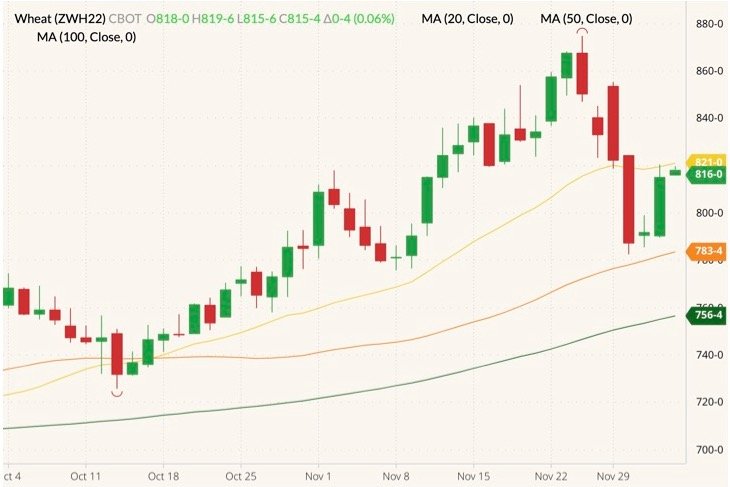 CBOT March 2022 wheat (candlesticks) with 20-, 50- and 100-day moving averages (yellow, orange and dark green lines). (Barchart)

