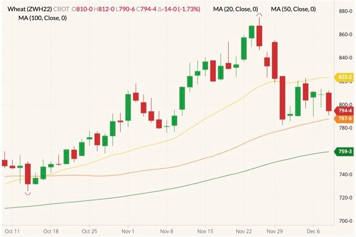 CBOT March 2022 wheat (candlesticks) with 20-, 50- and 100-day moving averages (yellow, orange and green lines). (Barchart)
