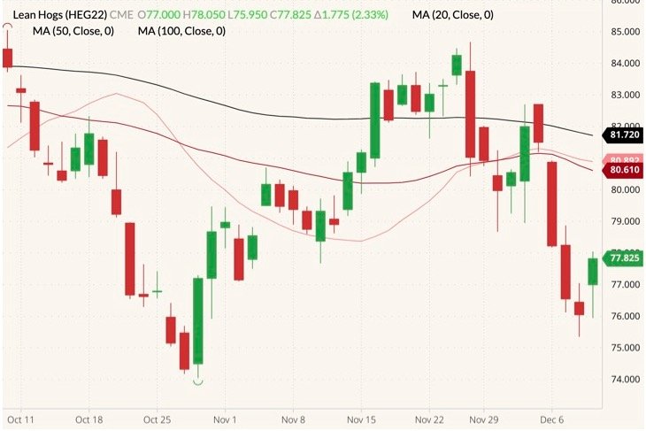 CME February 2022 lean hogs (candlesticks) with 20-, 50- and 100-day moving averages (pink, dark red and black lines). (Barchart)
