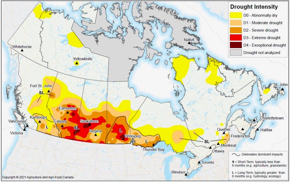 Canadian Drought Monitor map of drought conditions and intensity in Canada at Nov. 30, 2021. (AAFC)
