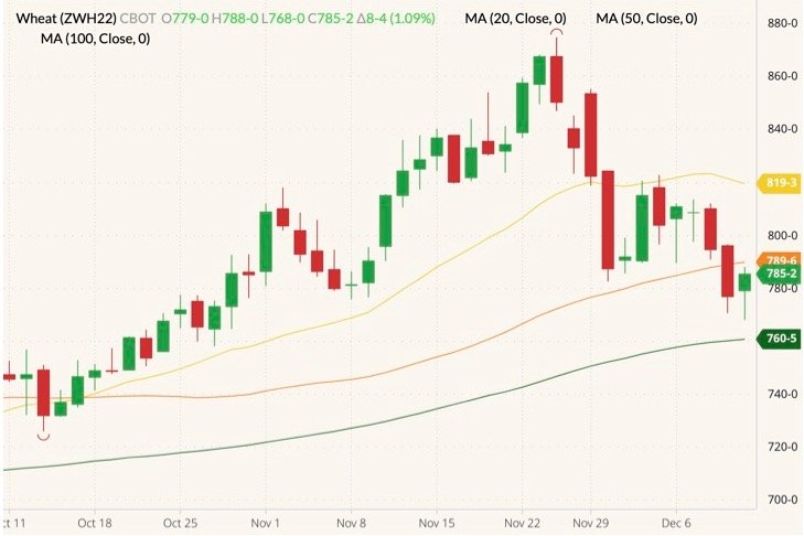 CBOT March 2022 wheat (candlesticks) with 20-, 50- and 100-day moving averages (yellow, orange and dark green lines). (Barchart)
