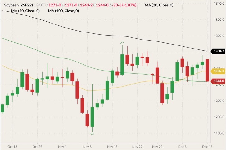 CBOT January 2022 soybeans (candlesticks) with 20-, 50- and 100-day moving averages (yellow, green and black lines). (Barchart)
