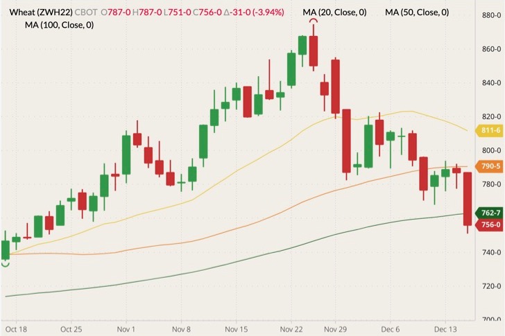 CBOT March 2022 wheat (candlesticks) with 20-, 50- and 100-day moving averages (yellow, orange and dark green lines). (Barchart)
