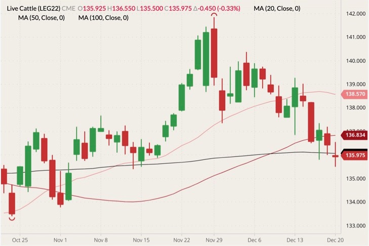 CME February 2022 live cattle (candlesticks) with 20-, 50- and 100-day moving averages (pink, dark red and black lines). (Barchart)
