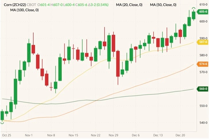 CBOT March 2022 corn (candlesticks) with 20-, 50- and 100-day moving averages (yellow, orange and dark green lines). (Barchart)
