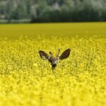 (PamWalker68/iStock/Getty Images)