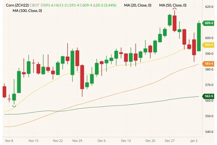 CBOT March 2022 corn (candlesticks) with 20-, 50- and 100-day moving averages (yellow, orange and dark green lines). (Barchart)

