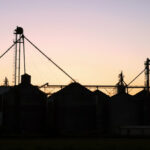 BeGrainSafe has a busy year despite pandemic