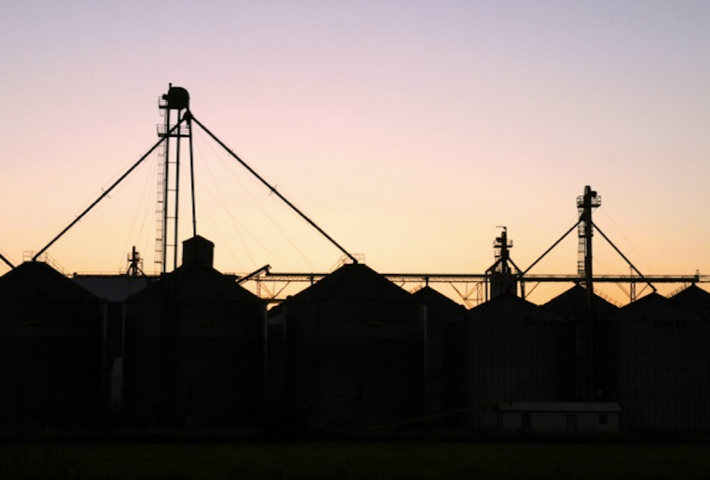 BeGrainSafe has a busy year despite pandemic