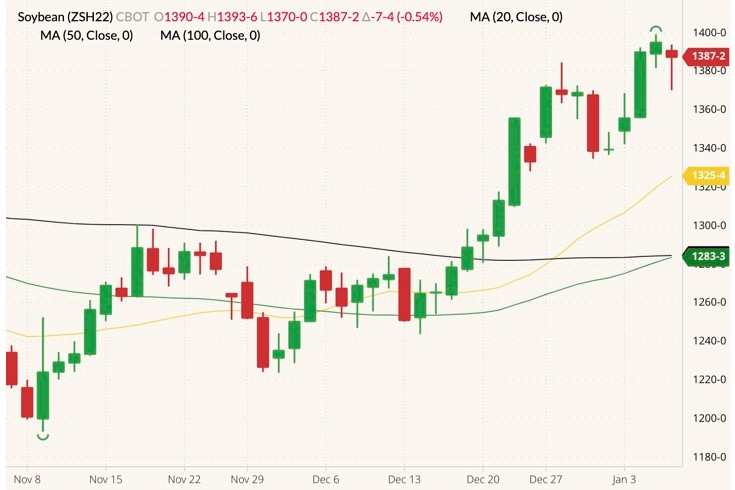 CBOT March 2022 soybeans (candlesticks) with 20-, 50- and 100-day moving averages (yellow, green and black lines). (Barchart)
