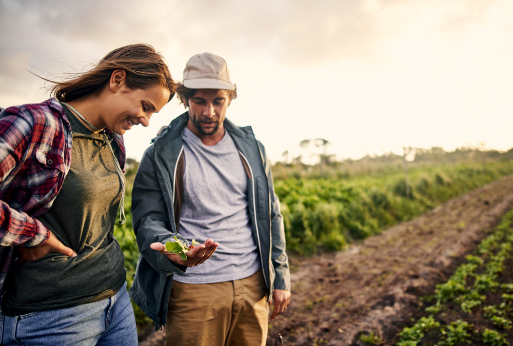 The growing of food in any space — be that urban or rural — mirrors self-sufficiency and a step toward food security.