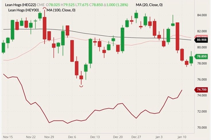 CME February 2022 lean hogs (candlesticks) with 20- and 100-day moving averages (pink and black lines) and CME cash lean hog index (dark red line). (Barchart)
