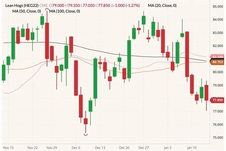 CME February 2022 lean hogs (candlesticks) with 20-, 50- and 100-day moving averages (pink, brown and black lines). (Barchart)
