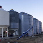 Bin pest survey on deck for southern Alberta