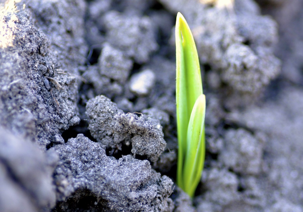 Regenerative agriculture is not hype, and has a strong carbon component and a focus on resiliency.