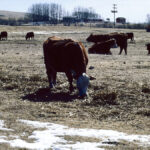Drought assistance deadline is Jan. 31