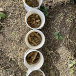 No matter what method you use, cores need to be taken from the proper locations with rust-free tools — and no snacking while you’re doing that, says agronomist Rachelle Farrell.