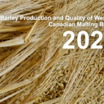 Malt barley challengers gaining ground