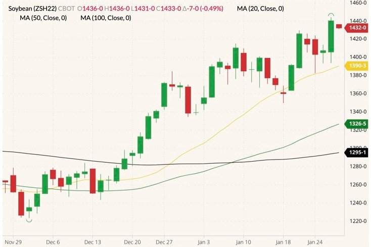 CBOT March 2022 soybeans (candlesticks) with 20-, 50- and 100-day moving averages (yellow, green and black lines). (Barchart)

