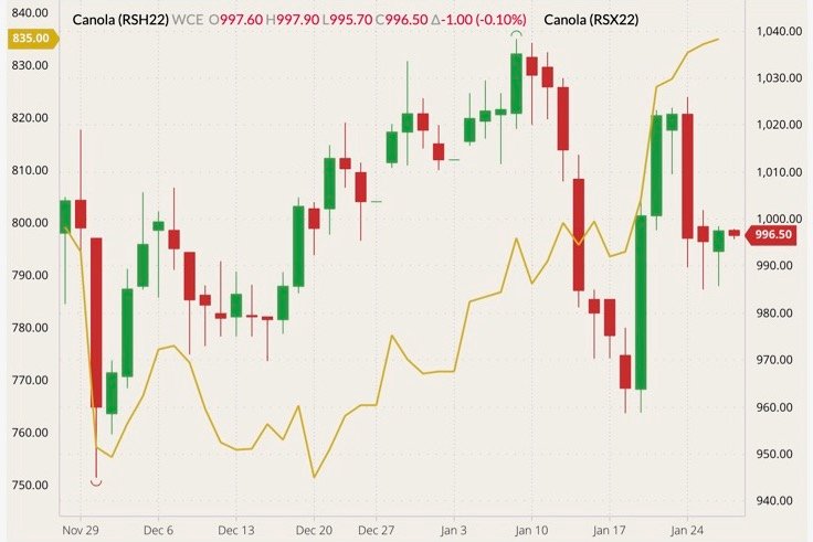 ICE March 2022 canola (candlesticks, right column) with November 2022 canola (yellow line, left column). (Barchart)
