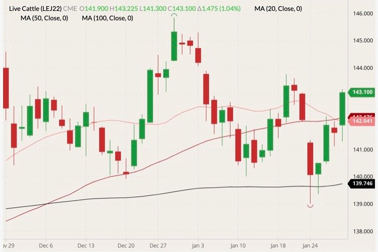 CME April 2022 live cattle (candlesticks) with 20-, 50- and 100-day moving averages (pink, dark red and black lines). (Barchart)
