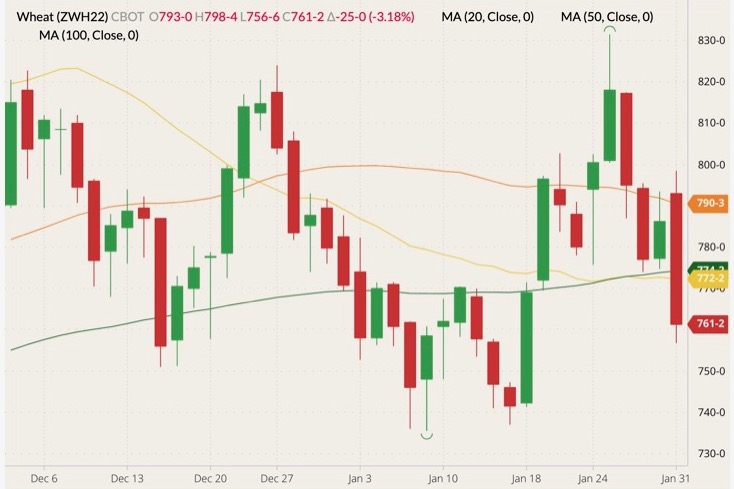 CBOT March 2022 wheat (candlesticks) with 20-, 50- and 100-day moving averages (yellow, orange and dark green lines). (Barchart)
