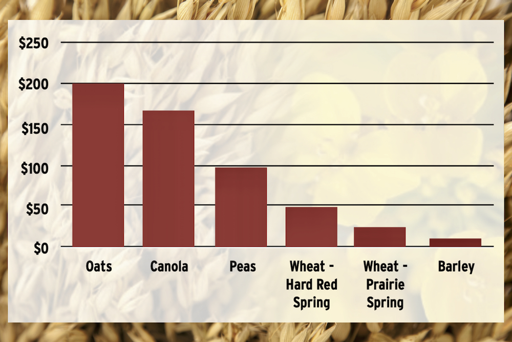 Manitoba’s ag department is forecasting oats could be the biggest money maker this year. There’s a lot of good data in the report but growers here expect canola will be No. 1 and barley a good choice, too.