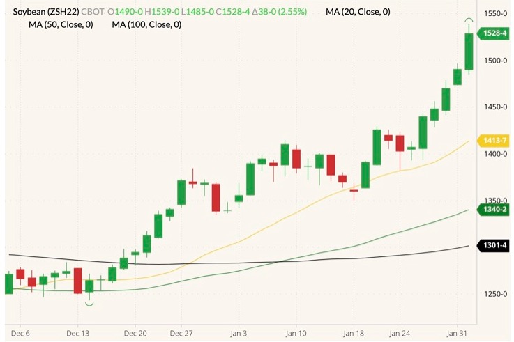CBOT March 2022 soybeans (candlesticks) with 20-, 50- and 100-day moving averages (yellow, dark green and black lines). (Barchart)
