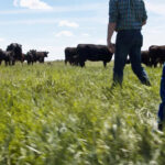 Next edition of Cattlemen’s Young Leaders now open