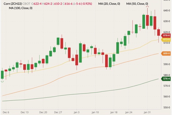 CBOT March 2022 corn (candlesticks) with 20-, 50- and 100-day moving averages (yellow, orange and dark green lines). (Barchart)
