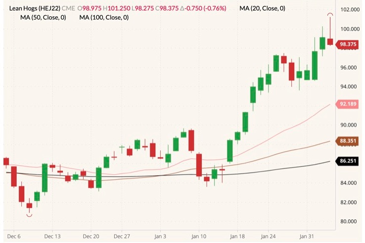 CME April 2022 lean hogs (candlesticks) with 20-, 50- and 100-day moving averages (pink, brown and black lines). (Barchart)
