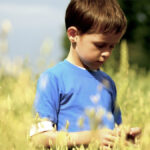 Are our children getting a fair message from the media they consume when it comes to food production?