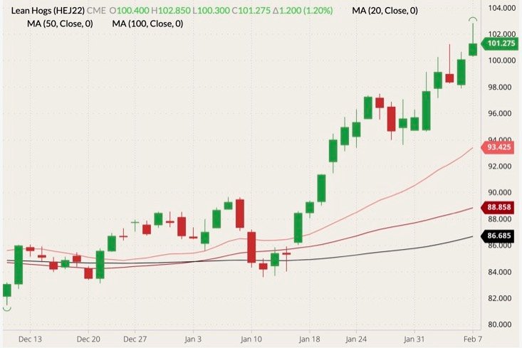 CME April 2022 lean hogs (candlesticks) with 20-, 50- and 100-day moving averages (pink, dark red and black lines). (Barchart)
